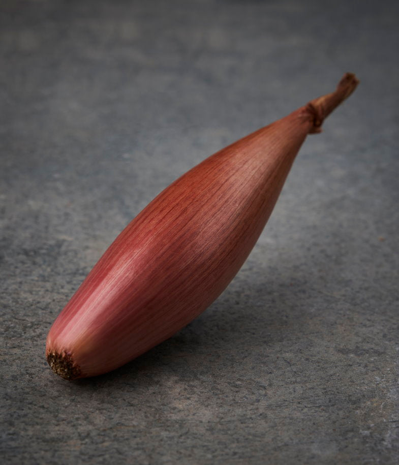 Banana Shallot Ausallium