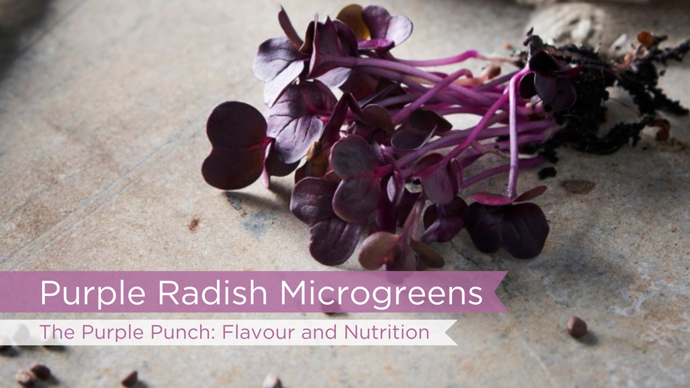 The Purple Punch: Flavour and Nutrition