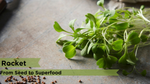 From Seed to Superfood: The Surprising Health Benefits of Rocket Microgreens