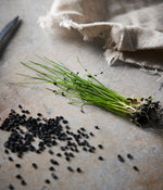 Featured Product - Garlic Chive
