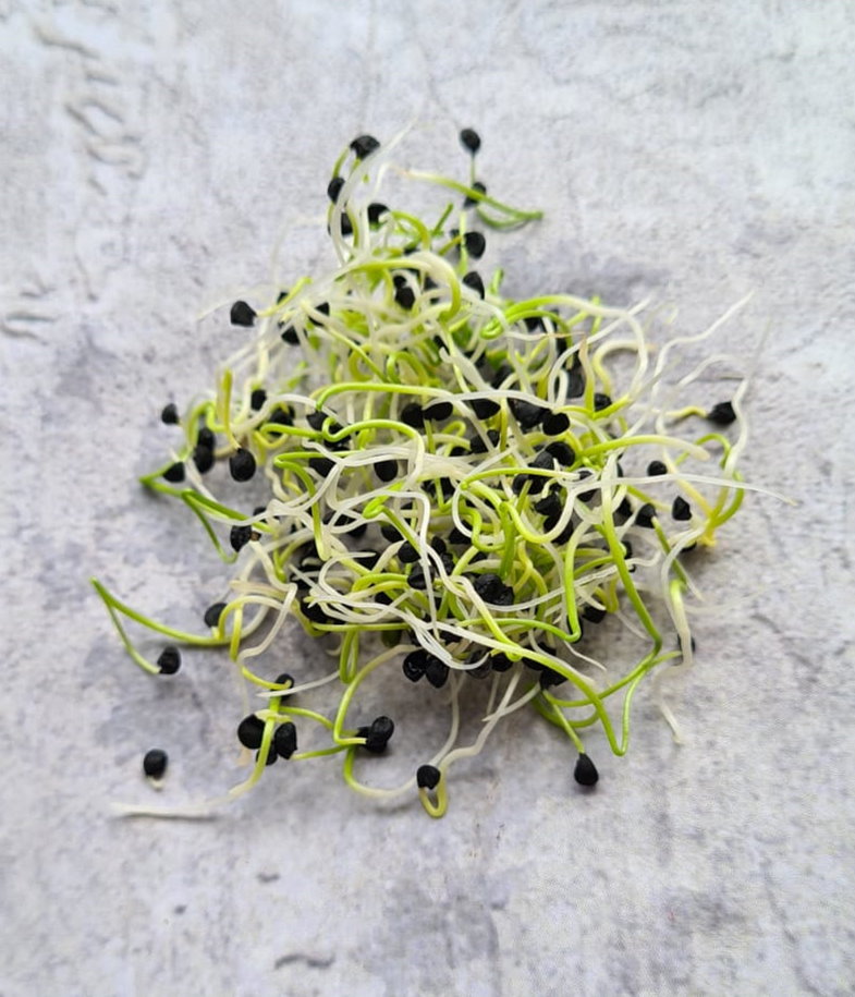 Chive Sprouts Garlic Chive Seeds Davenport Garden Centre