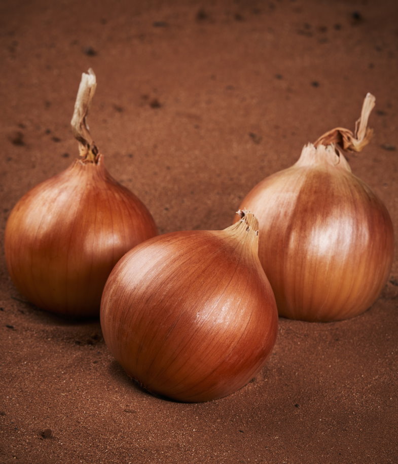 Gladalan Brown
