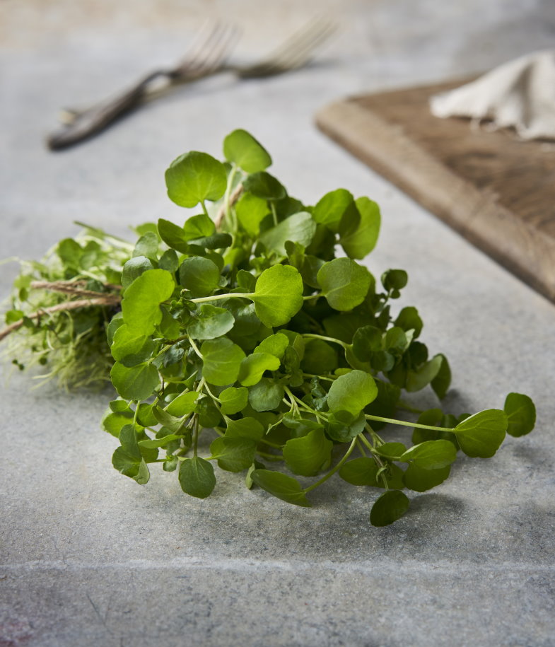 Watercress Baby Leaf